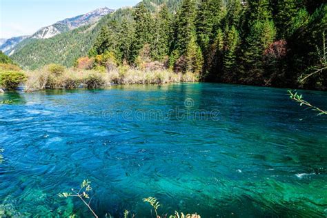 Scenery Of Lake In Forest With Colorful Leafs And Mountain In Autumn