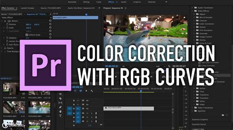 Color Correction With RGB Curves In Premiere Pro By Chung Dha YouTube