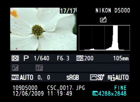 Learning How To Use Your Cameras Histogram Nikon