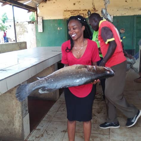 Kisumu Fishermen Decry Chinese Fish In The Local Market