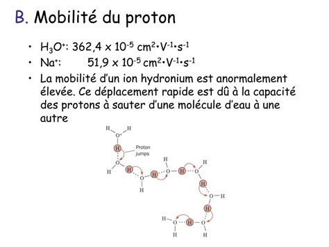 Ppt Chapitre Les Solutions Aqueuses Propri T S De Leau A