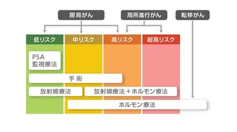 自身の状態と希望で治療法を選ぶ前立腺がん治療：がんナビ