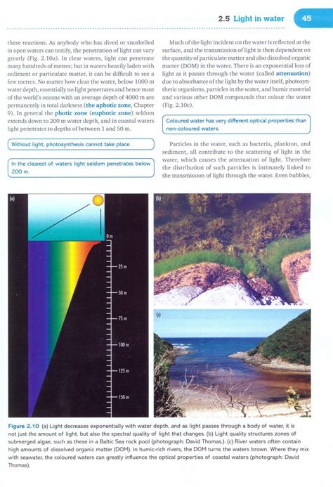 Marine Ecology Processes Systems And Impacts 0199227020