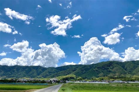 【西京区】豊かな自然と悠久の歴史に彩られた大原野で暮らしてみませんか 住むなら京都