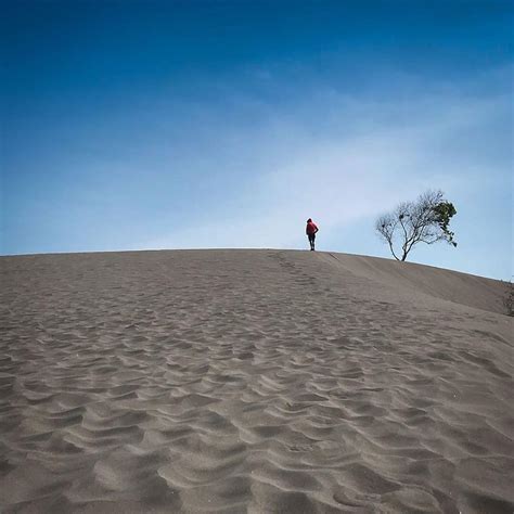 Gumuk Pasir Parangkusumo Destinasi Wisata Unik Dengan Sandboarding