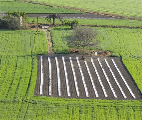 Amics de la Terra promueve nuevas iniciativas agroecológicas con la