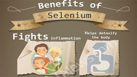 Selenium Has The Following Great Health Benefits - Infographic