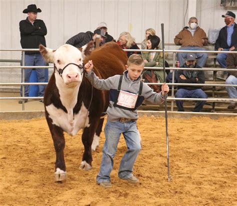 Cattle Shows In Wisconsin 2024 Nevsa Adrianne