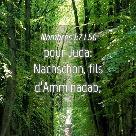 Nombres 1 7 LSG Pour Juda Nachschon Fils