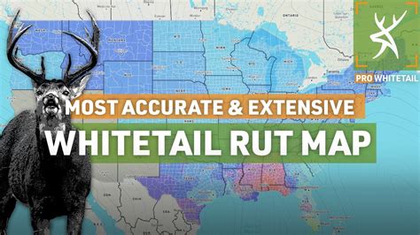 Whitetail Rut Map Hot Sex Picture