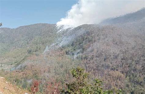 Arde La Sierra Negra De Puebla Incendios Forestales Afectan Tres