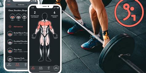 App Treino Musculação Gratis - 10 Best Free Workout Apps