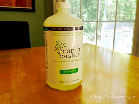 Best Green Cleaning Products: What's in My Kitchen