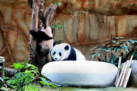 3 Zoos In Kuala Lumpur For Wildlife Enthusiasts