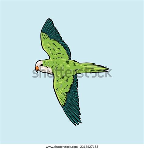 Green Parrot Flying Stock Photos and Pictures - 15,877 Images ...