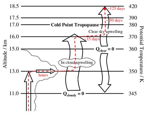 Schematic Of Troposphere To Stratosphere Transport Pathway Left Deep Download Scientific