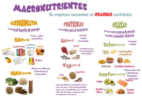 Ejemplos De Carbohidratos Lipidos Proteinas Vitaminas Y Minerales The