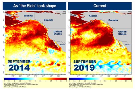 New Marine Heatwave Emerges Off West Coast Resembles The Blob NOAA