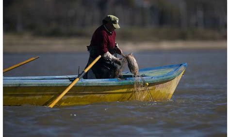 Drought Hits South America River Threatening Vast Ecosystem