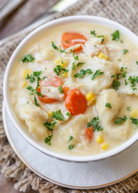 Easy Chicken Dumpling Soup (+VIDEO) | Lil' Luna