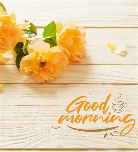 2024 Beautiful Good Morning Yellow Rose Images November 2024