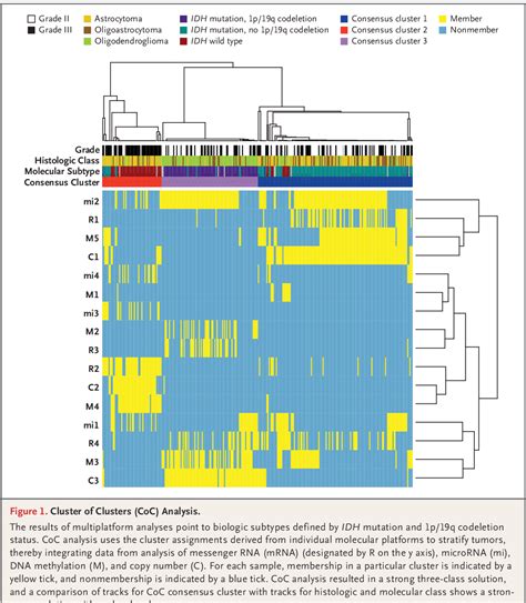 1p 19q Codeletion Semantic Scholar