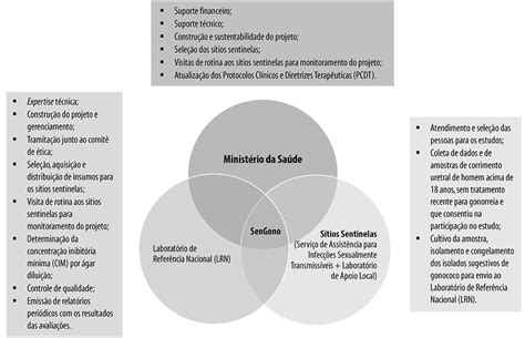 Scielo Brasil Protocolo Brasileiro Para Infecções Sexualmente