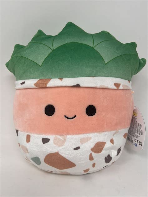 8 Abena The Succulent Squishmallow Squishmallows Plants New Ebay