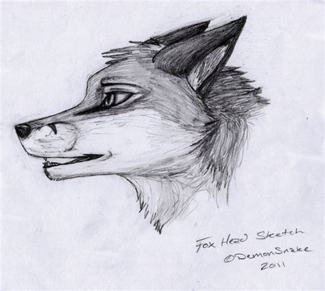 Fox Head Sketch by DemonSnake on DeviantArt