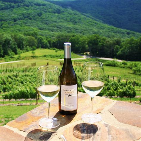 Best Places for Wine Tasting in North Georgia — Meet Me in Paris