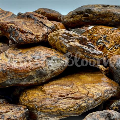 Камни для аквариума купить в Москве