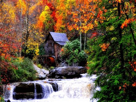 Old Mill In Autumn Forest Stream Fall Leaves Autumn Nature Old