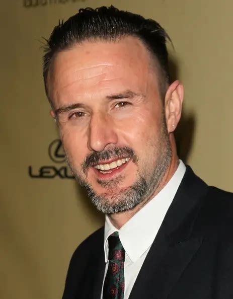David Arquette Net Worth - Celebrity Sizes