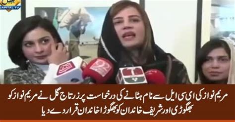 Zartaj Gull Calls Maryam Nawaz Bhagori On Her Plea To Remove Her Name