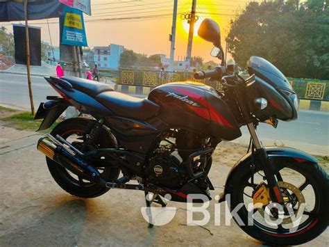 Bajaj Pulsar 150 DD 2022 শওম for Sale Court Station Bikroy