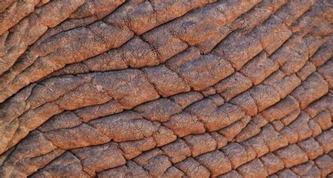 extremely dry skin treatments remedies  effects