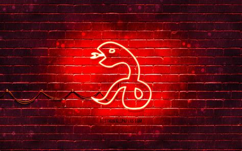 Neon Snake Wallpapers - Top Free Neon Snake Backgrounds - WallpaperAccess