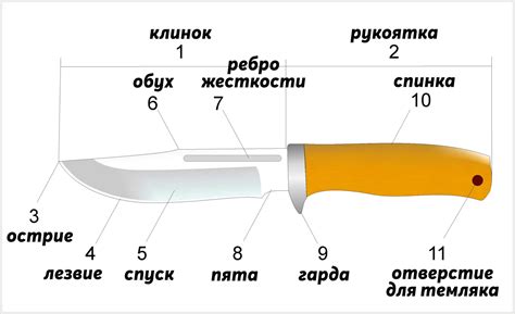 Какие ножи самые острые? - Научно-популярный журнал: «Как и Почему»