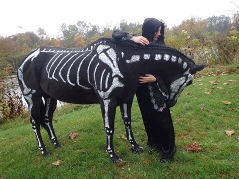 Skeleton Horse, Artist Paints White Bones on Her Black Horse