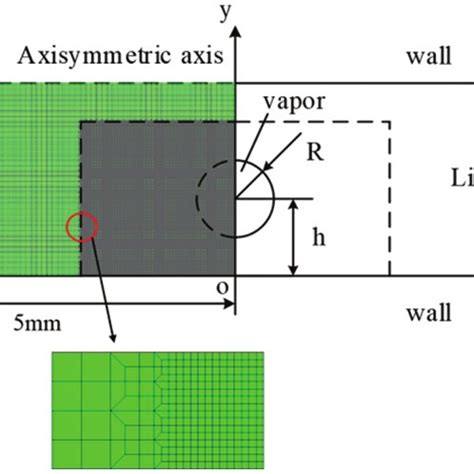 Cavitation dynamics model for a single bubble | Download Scientific Diagram