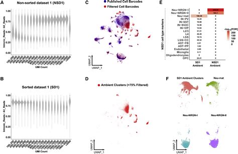 Neuronal Ambient Rna Contamination Causes Misinterpreted And Masked Cell Types In Brain Single