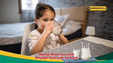 Ketahui Manfaat Penting Minum Susu Sebelum Tidur Birds N Bees