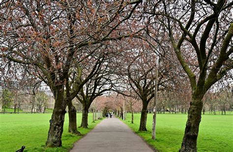 7 must see parks in Edinburgh - Bounce