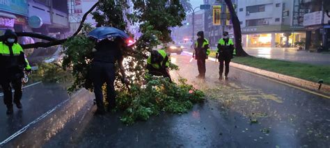 雨彈狂炸路樹橫躺車道 勇警冒雨急救援