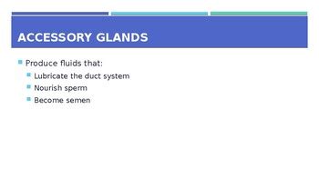 Health Science Unit Slides Growth Development And Sexual Health