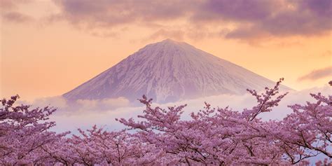 日本の世界遺産特集 写真素材・ストックフォトのアフロ