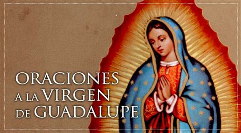 Get Inspired For Wallpaper Virgen De Guadalupe Png images