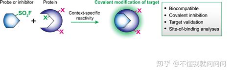 默克sigma实验分享 SuFEx参与下一步点击反应的磺酰氟 知乎