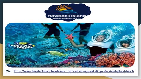 PPT - Snorkeling at Elephant Beach PowerPoint Presentation, free ...