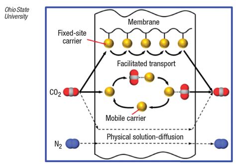 CO2 Separation Membrane